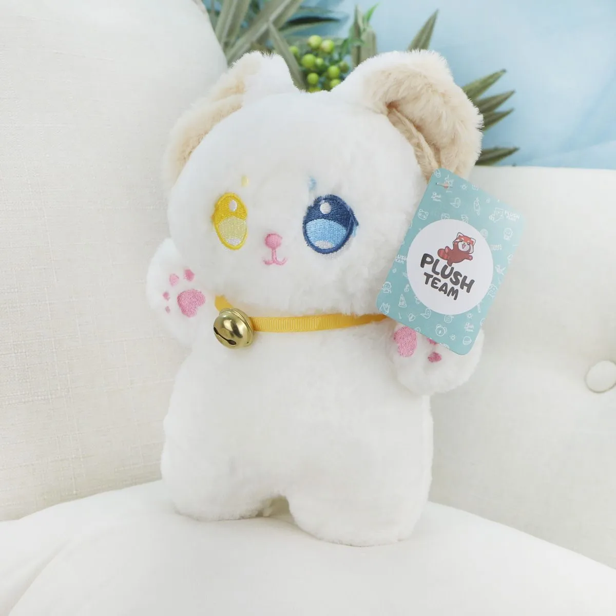 Кошка с разными глазами в ассортименте, 22 см от plush.team