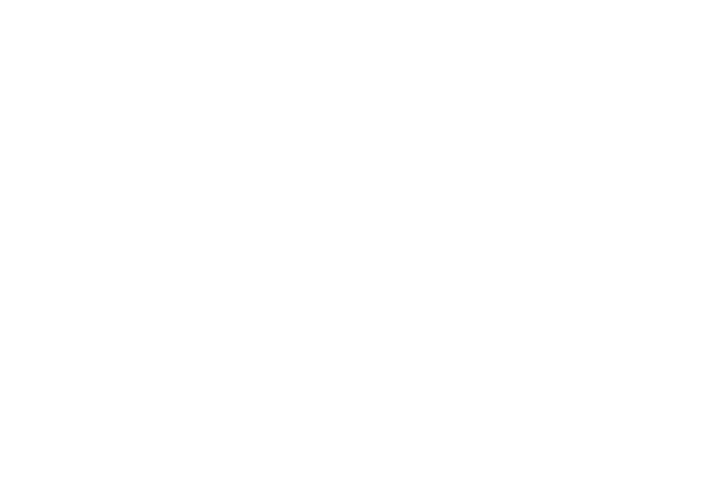 Новинка