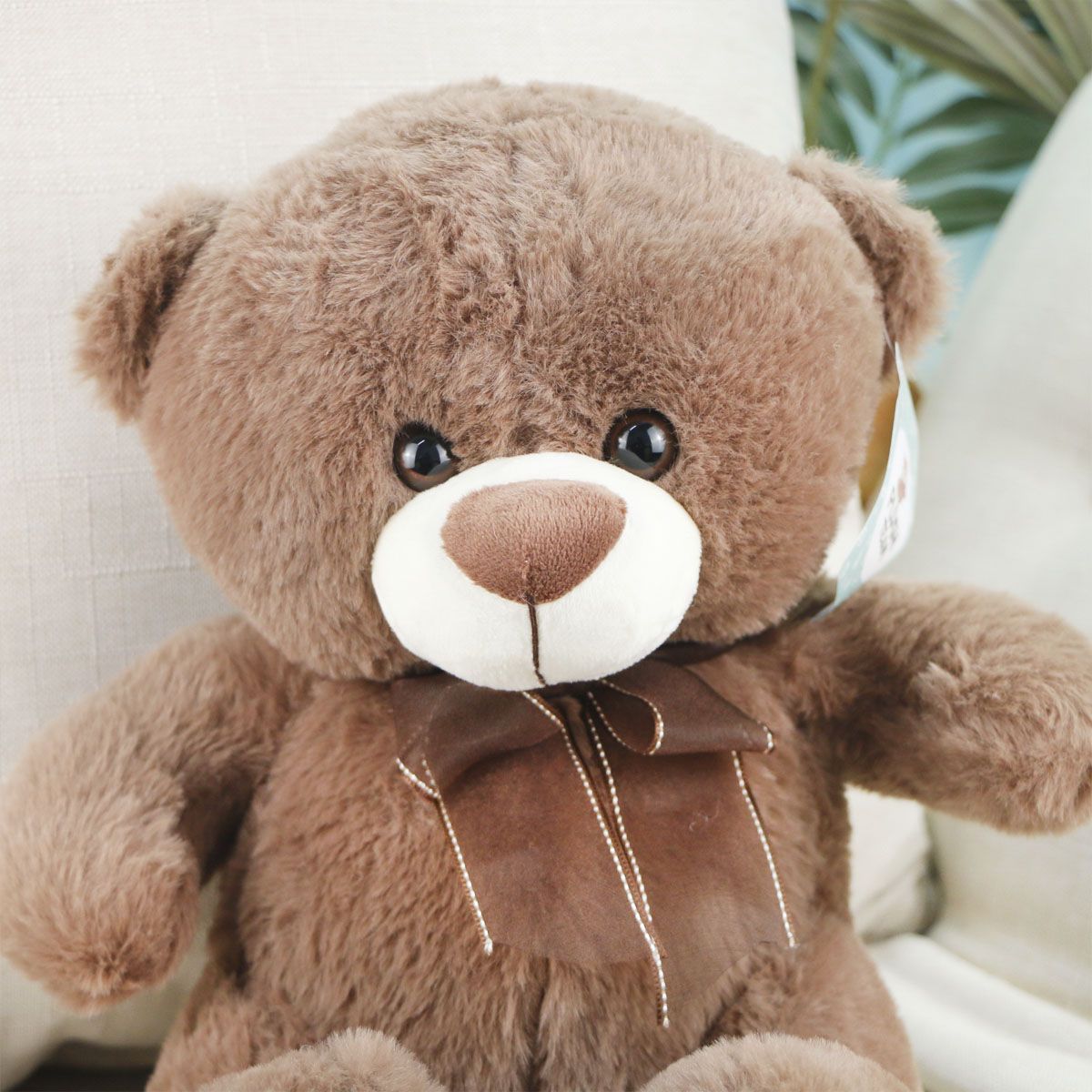 Медведь Шуня, 35 см (Коричневый) от plush.team
