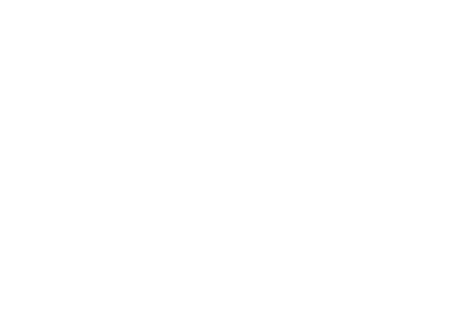 Новинка